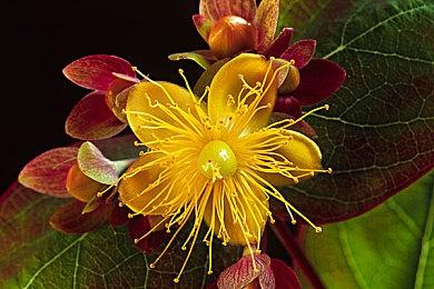 《战地2042》第一赛季更新后 Steam在线重回万人